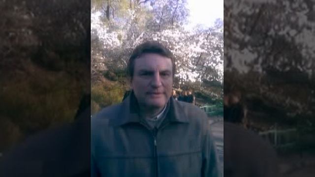 Сказка принц и нищий. смотреть онлайн