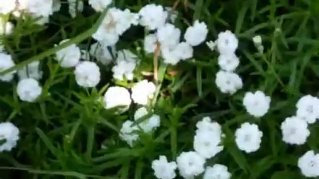 Благослови меня матушка смотреть онлайн
