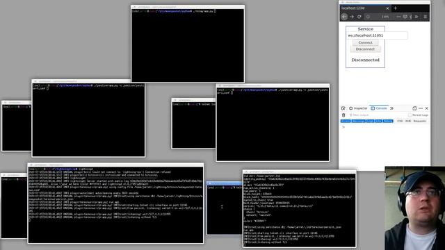 Moneysocket Sausagemaking Part 2: A peek at the prototype implementation смотреть онлайн