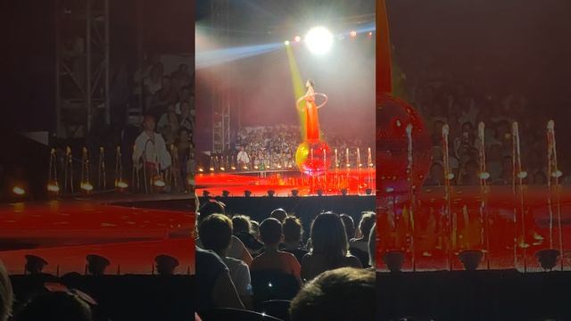 Цирк Никулина. Сочи парк. смотреть онлайн