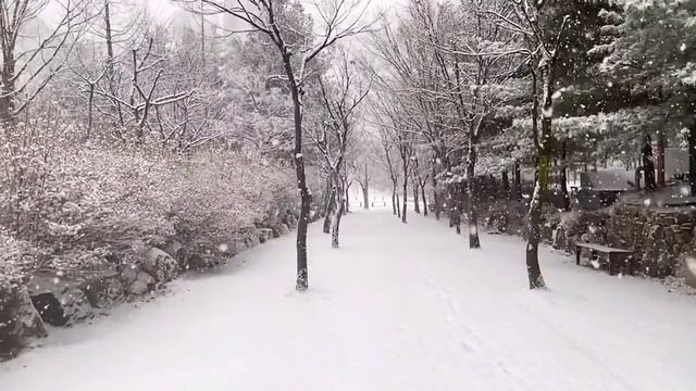 КАК ПОНРАВИТЬСЯ ВОДЯНОМУ ТИГРУ/НОВЫЙ 2022 ГОД /#новыйгод2022 смотреть онлайн