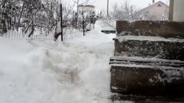 По следам Остина Стивенса Птицы смотреть онлайн