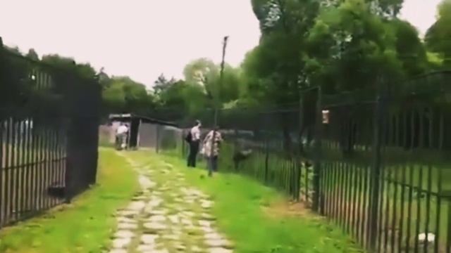 16 декабря 2022 г. (1).mp4 смотреть онлайн