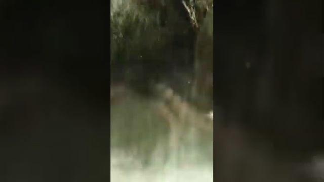 Watch Kong: Skull Island (2017) HD Online Stream смотреть онлайн