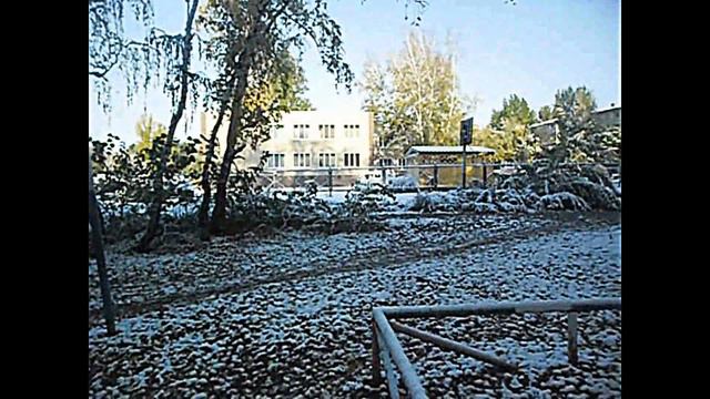 ПЕРВЫЙ СНЕГ . ПРОГУЛКА С СОБАКОЙ. смотреть онлайн