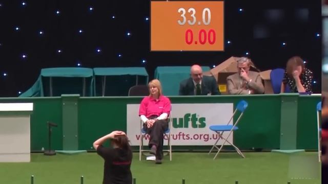 Brutal Moments Wild Animals Pooping Caught On Camera смотреть онлайн