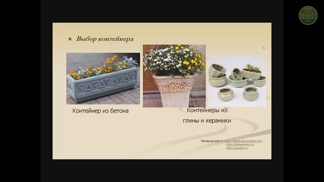 Хазова Е.П. Виды цветочного оформления