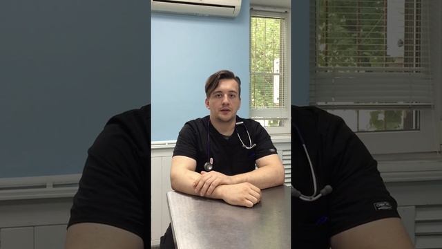 Чистка параанальных желез у собак смотреть онлайн