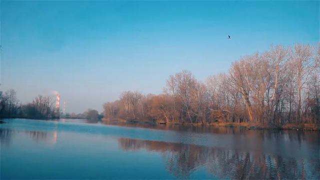Pałac w Wilanowie смотреть онлайн
