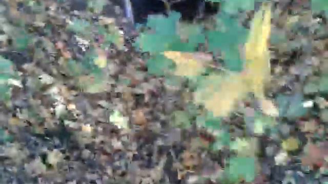 Исследуй кременчуг полностью #2 смотреть онлайн
