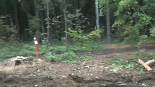 Санитарная чистка леса по Балашихински! смотреть онлайн