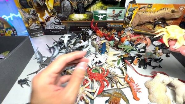 Sharks VS Polar Bears Collection, Great White Shark, Whaleshark, Megalodon, Frilled Shark, Shark Ra