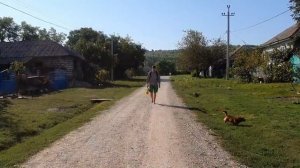 Мимо текла текла река. Братья из Михайловки.