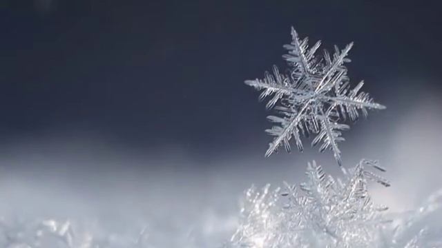 Crochet wire jewelry/Презентация Мастер Класса. Комплект "Тайна" смотреть онлайн