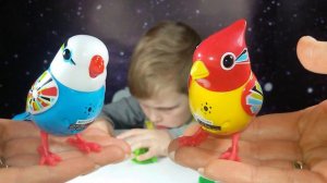 ★Поющие птички игрушки Digi Birds Toys 55 Songs and Tweets видео для детей