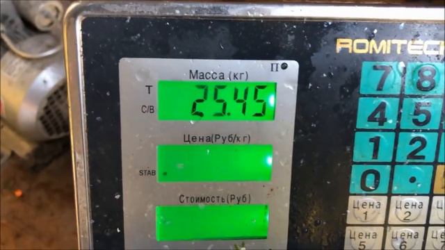 Зарыбление осетром нижнего пруда, 100 кг. Клёвое место Лосиный остров. смотреть онлайн