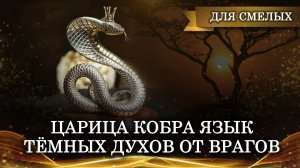 ЦАРИЦА КОБРА | ЯЗЫК ТЁМНЫХ ДУХОВ ОТ ВРАГОВ | РИТУАЛ ДЛЯ СМЕЛЫХ | ИНГА ХОСРОЕВА | ВЕДЬМИНА ИЗБА