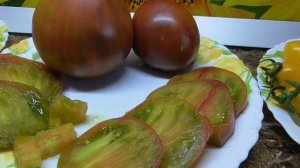 Томаты - новинки 2022 года. Томат Тайга - об этом томате я мечтала, он нравится всем.