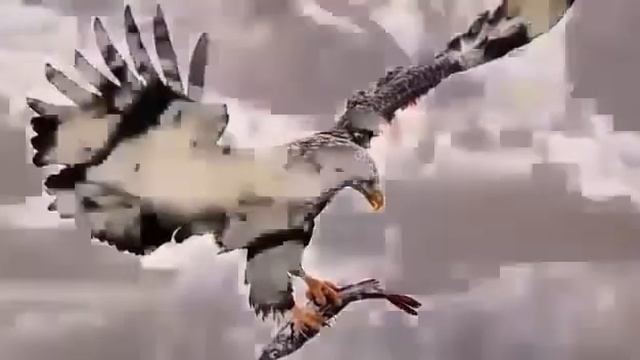Закон природы смотреть онлайн