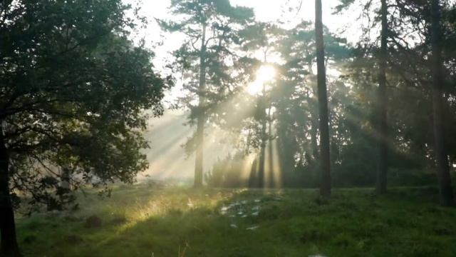 Лучшая музыка для ауры и чакр.Музыка для души.Музыка для медитации. смотреть онлайн