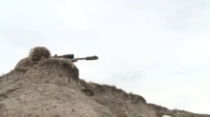 ОХОТА НА ВОЛКОВ (КОЙОТОВ) В США