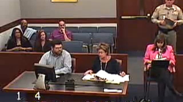 Horodesky vs. Johnson before Family Court Judge William Potter 5.7.14 смотреть онлайн