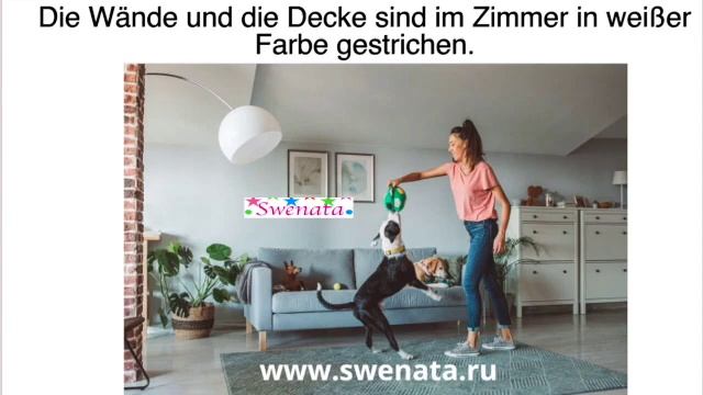 DTZ Prüfung I Haustiere I Bildbeschreibung A2 B1 смотреть онлайн