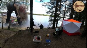 Вот за что я люблю донки.Рыбалка ,отдых.