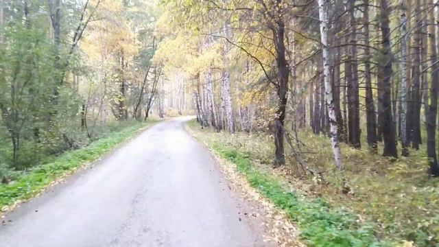 БОЛЬШОЕ ОСЕННЕЕ ПУТЕШЕСТВИЕ смотреть онлайн