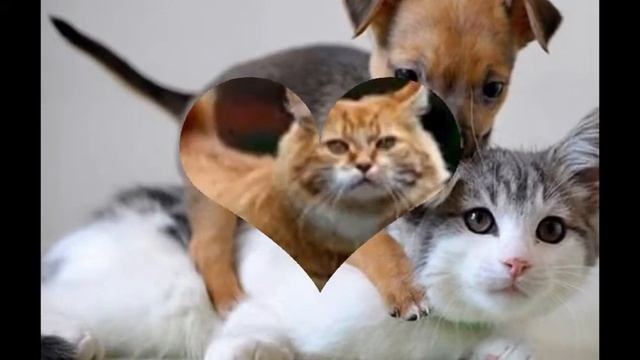 не судите строго у меня камера не работает смотреть онлайн