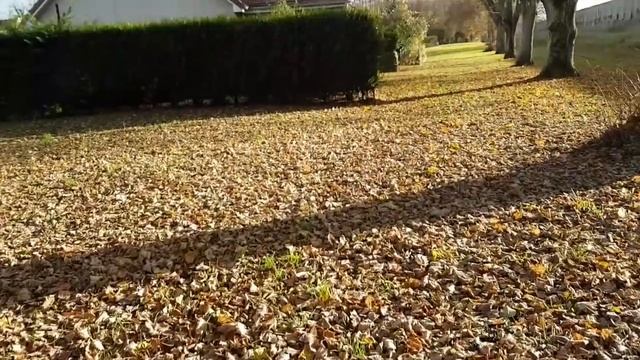 Влог: Классная Юбка. Любимый Аромат. НЕТ кАтЫшКаМ на одежде. Svetlana ФРАНЦИЯ