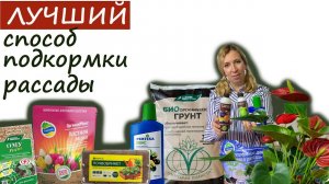 Лучший способ подкормки рассады