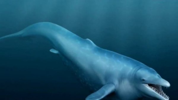 БАЗИЛОЗАВР | МОГУЩЕСТВЕННЫЙ КИТ