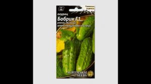 Обзор сорта огурцов «Бобрик» (характеристики, свойства, фото)