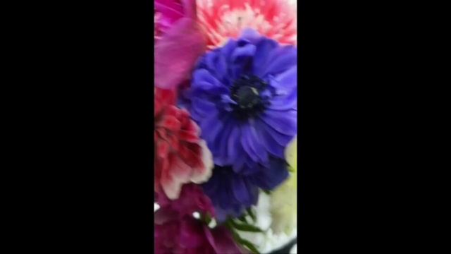 Фет.Я видел... смотреть онлайн