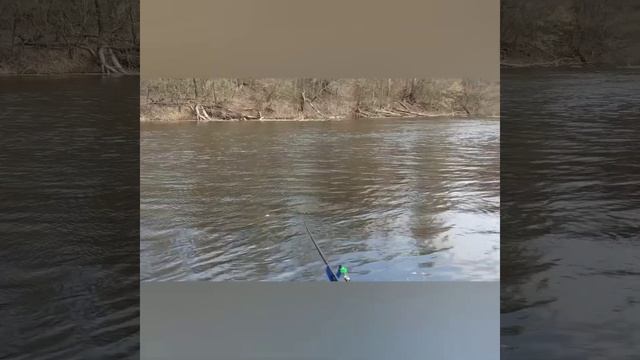 Северский Донец. Тест-обзор фидера KAIDA impulse. смотреть онлайн