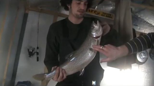 CRONIC FISHING ICE FISHING 4 смотреть онлайн