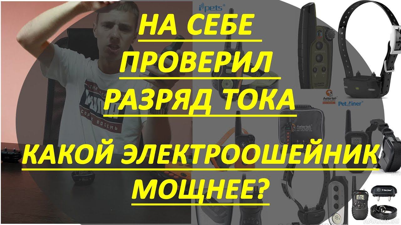 На себе проверил разряд электроошейника для собак. Как выбрать какой электроошейник лучше бьет? смотреть онлайн
