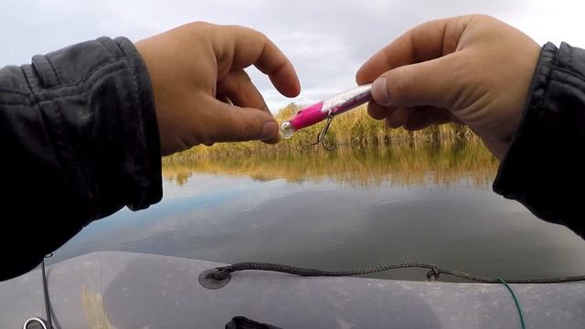 Ловля щуки в поселке Пчеловодный. 2018г. Ростовская область смотреть онлайн