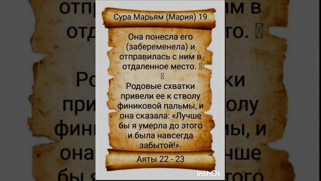 Коран об Иисусе (мир ему) 2. #аллах #бог #господь #аят #коран #намаз #религия #ислам #вера смотреть онлайн