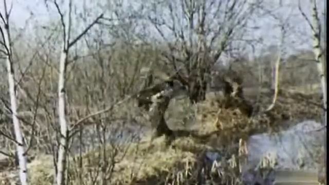 Снайперская винтовка СВД.