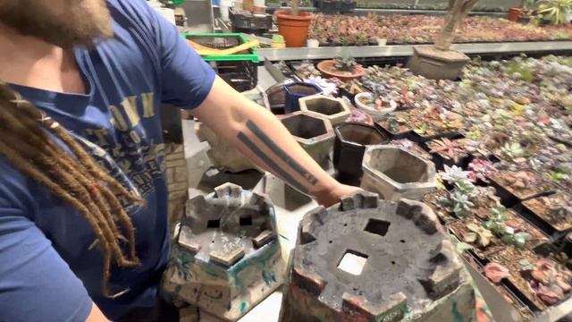 РАСПАКОВКА САМЫХ ДОРОГИХ ГОРШКОВ ДЛЯ САМЫХ РЕДКИХ ЭКЗОТИЧЕСКИХ РАСТЕНИЙ СУККУЛЕНТОВ КАКТУСОВ КРАССУ смотреть онлайн