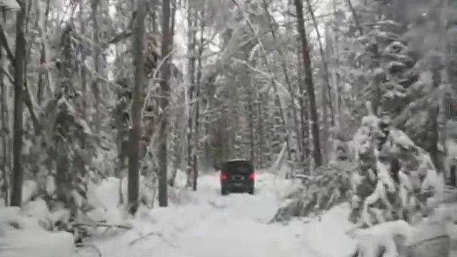 Зимняя дорога к заброшенной деревне Шалахово смотреть онлайн