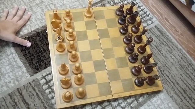 Шахматы для начинающих. Шахматные фигуры. Урок 1. Chess for beginners. Lesson 1. смотреть онлайн