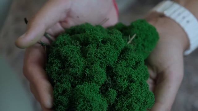 Обзор ягель стандарт компании GREENERY смотреть онлайн