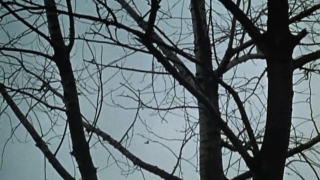 СКАЖИТЕ... смотреть онлайн