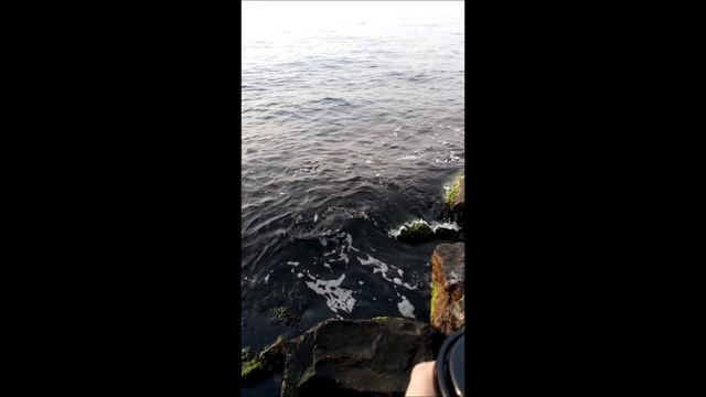 Мой океан жизни \ My ocean a life смотреть онлайн