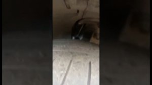 Воскрешаем мертвый  мотор Mercedes. Даже такие задиры. Присадки AWS NT-10. #авто  #мотор #mercedes