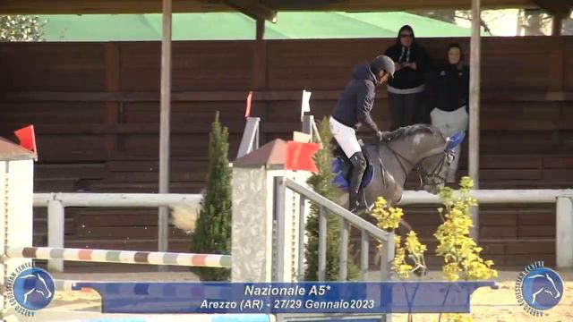 Coco Mademoiselle (2018 Cornet x Chacco Blue) clear 5yr olds -Arezzo National Competition смотреть онлайн
