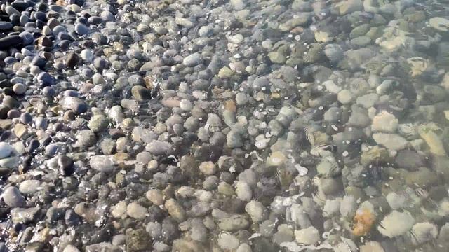 Лазаревское 8 июня смотреть онлайн